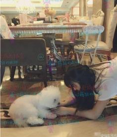 赵丽颖的房间照片大全,温馨私享空间大曝光